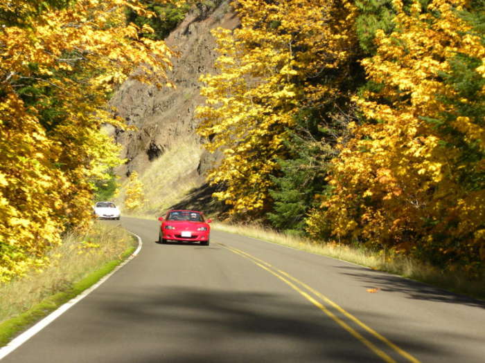 맥켄지 강 경관도로, 오리건 McKenzie River Scenic Byway, Oregan