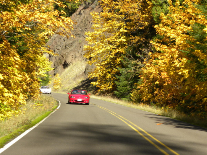 맥켄지 강 경관도로&#44; 오리건 McKenzie River Scenic Byway&#44; Oregan