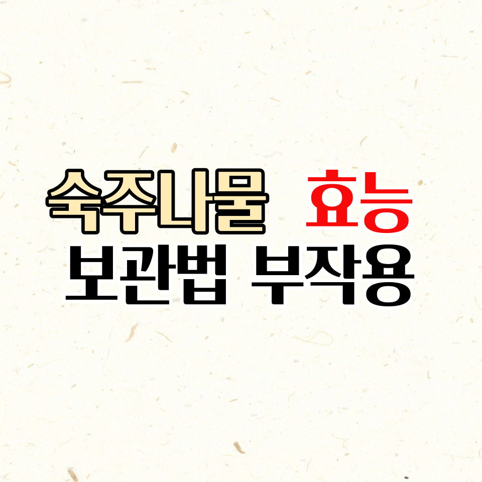  숙주나물 효능과 보관법, 부작용에 대해 알아봅시다.
