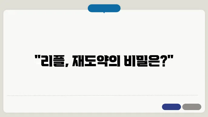 리플코인이 급격히 상승하는 이면, 리플전망