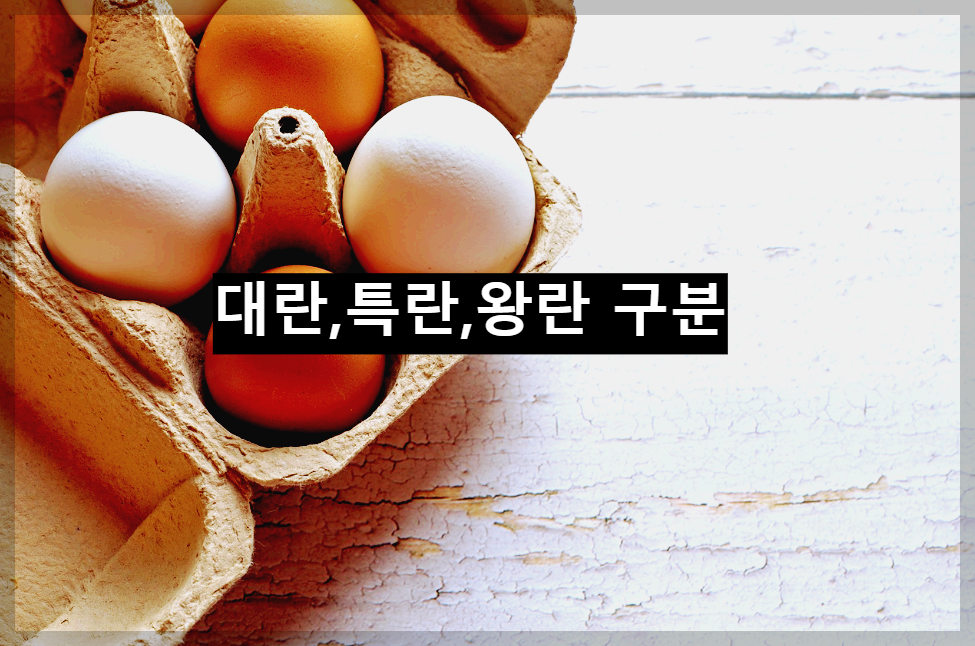  대란,특란,왕란의 차이점