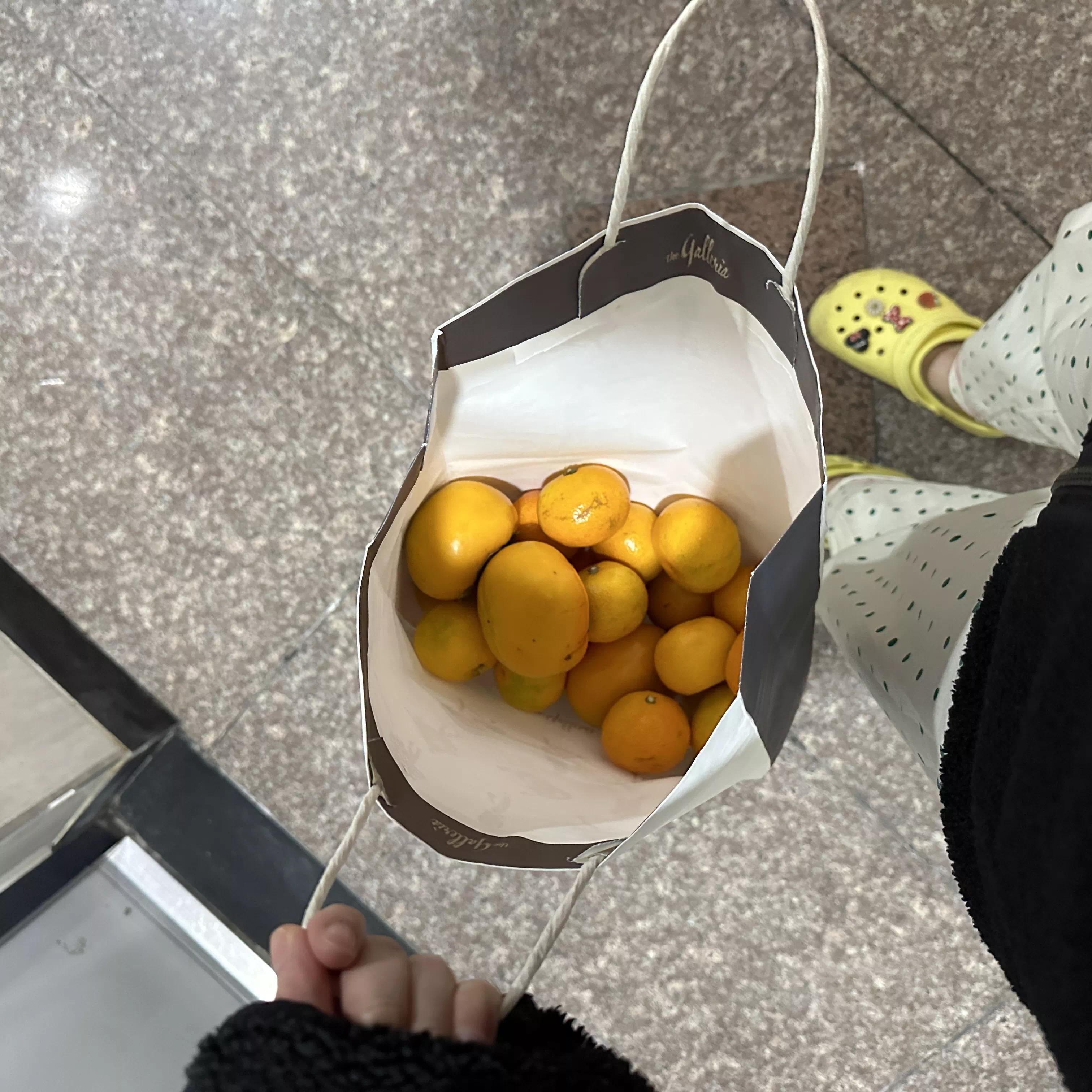 무나 받은 과일