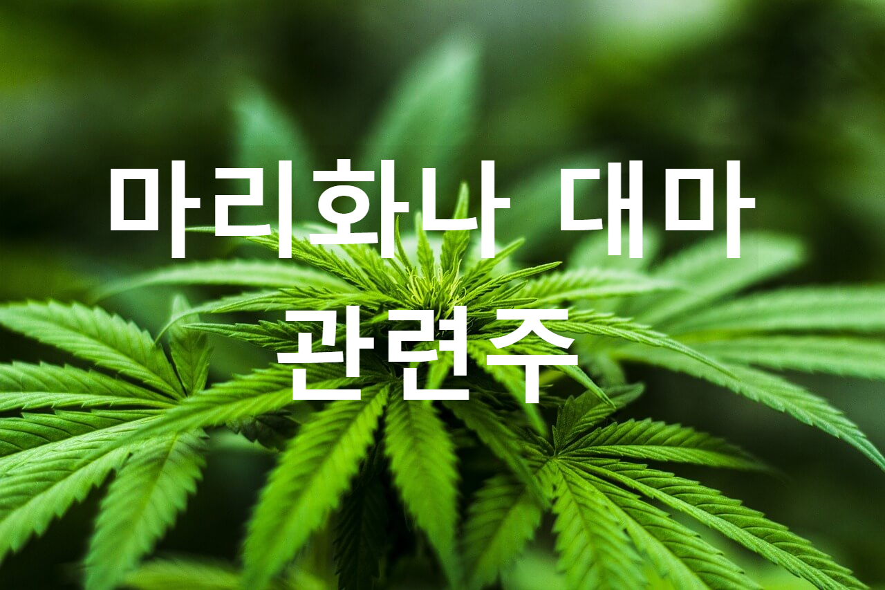  마리화나 관련주 및 대장주, 마리화나 핵심 4종목, 대 수혜주 정리(우리바이오 , 화일약품, 오성첨단소재, EDGC, 노터스)