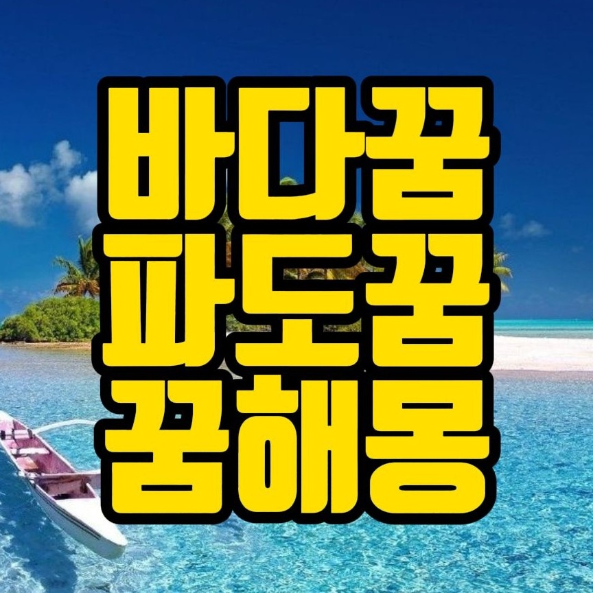  [꿈해몽] 바다꿈,파도꿈,수영꿈,해조류꿈 관련 꿈풀이 45선