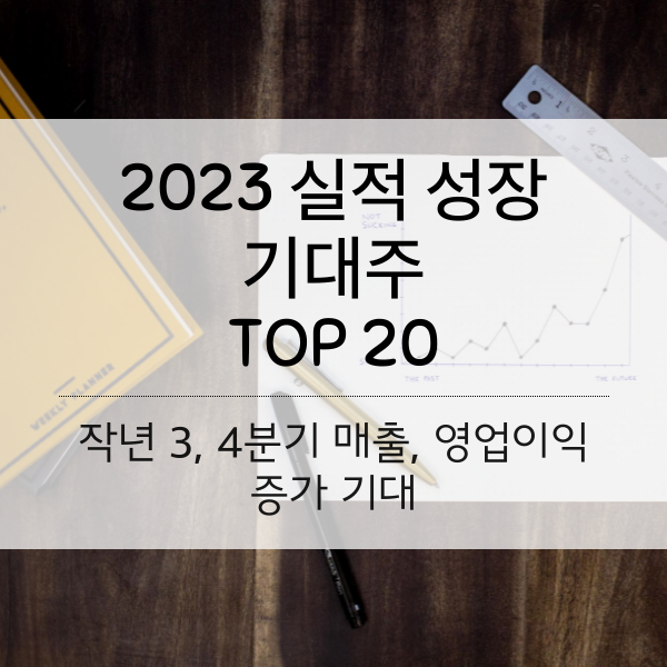 [2023] 실정 성장 기대주 TOP 20