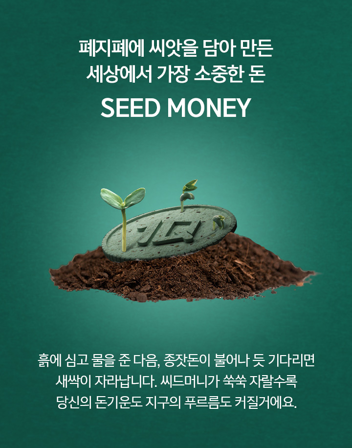 시드머니