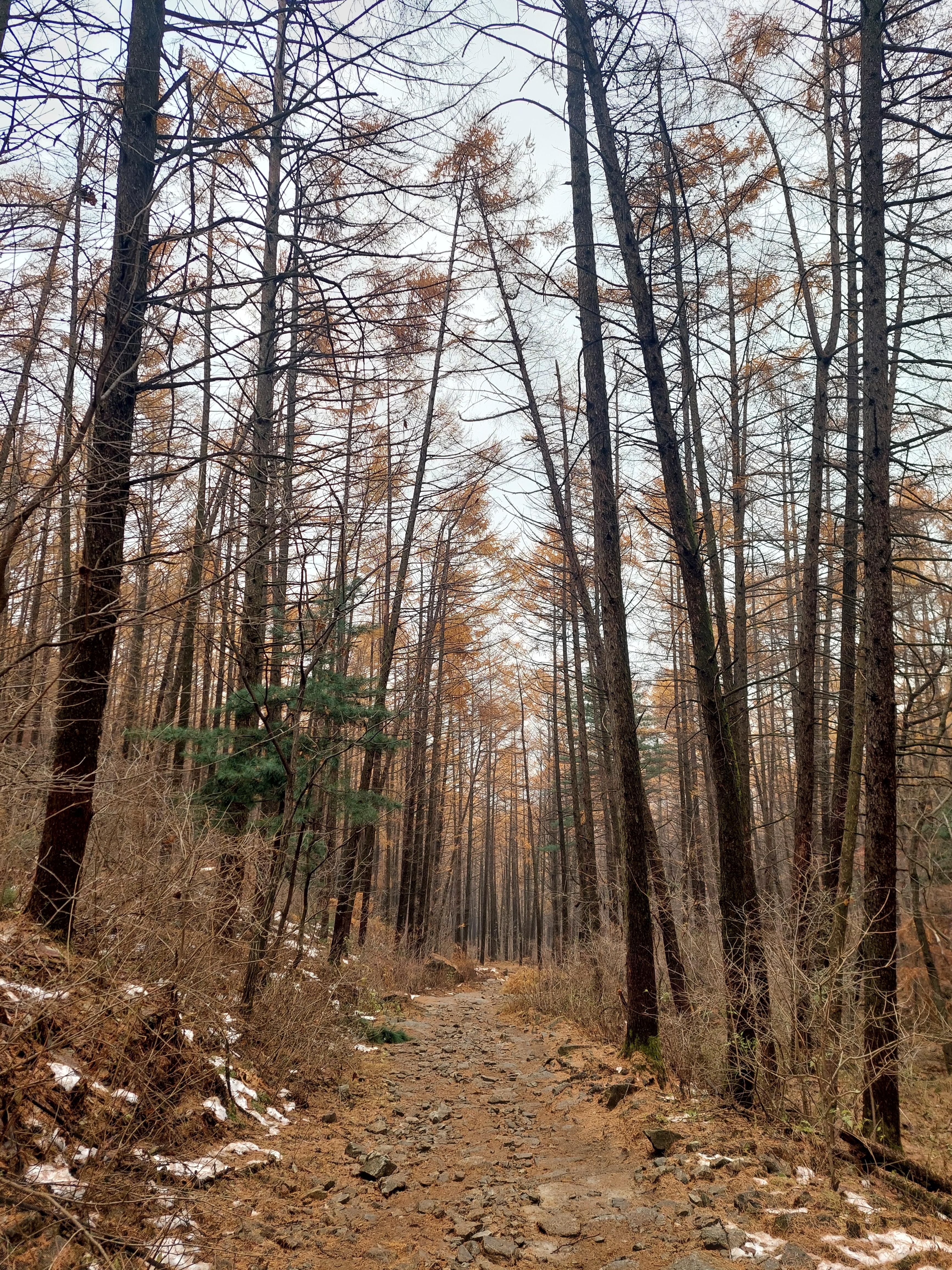 검단산