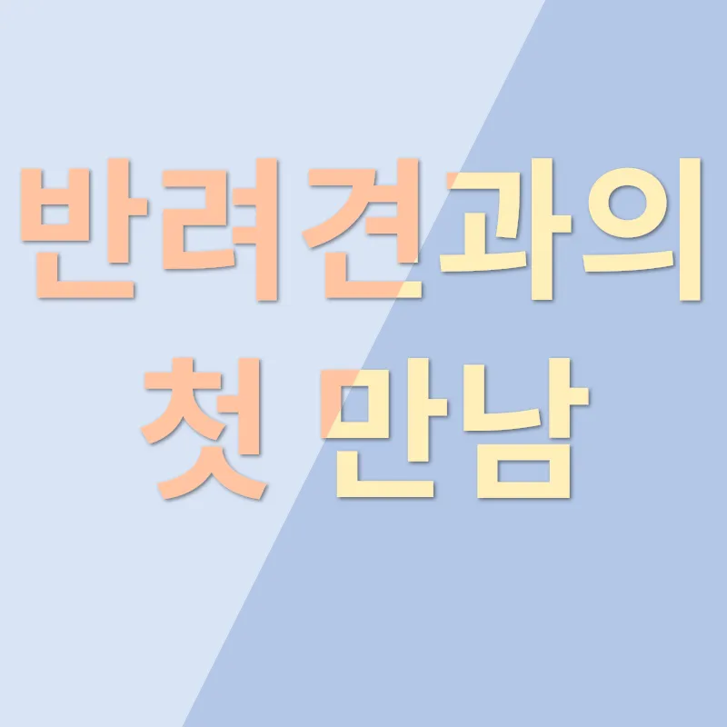 반려견 채택_1