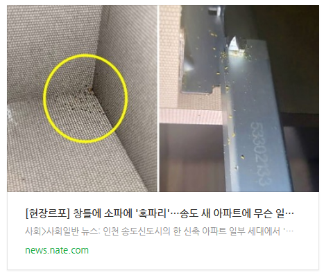 [아침뉴스] [현장르포] 창틀에 소파에 '혹파리'…송도 새 아파트에 무슨 일이