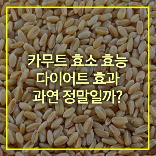 카무트 효소 효능 다이어트 효과