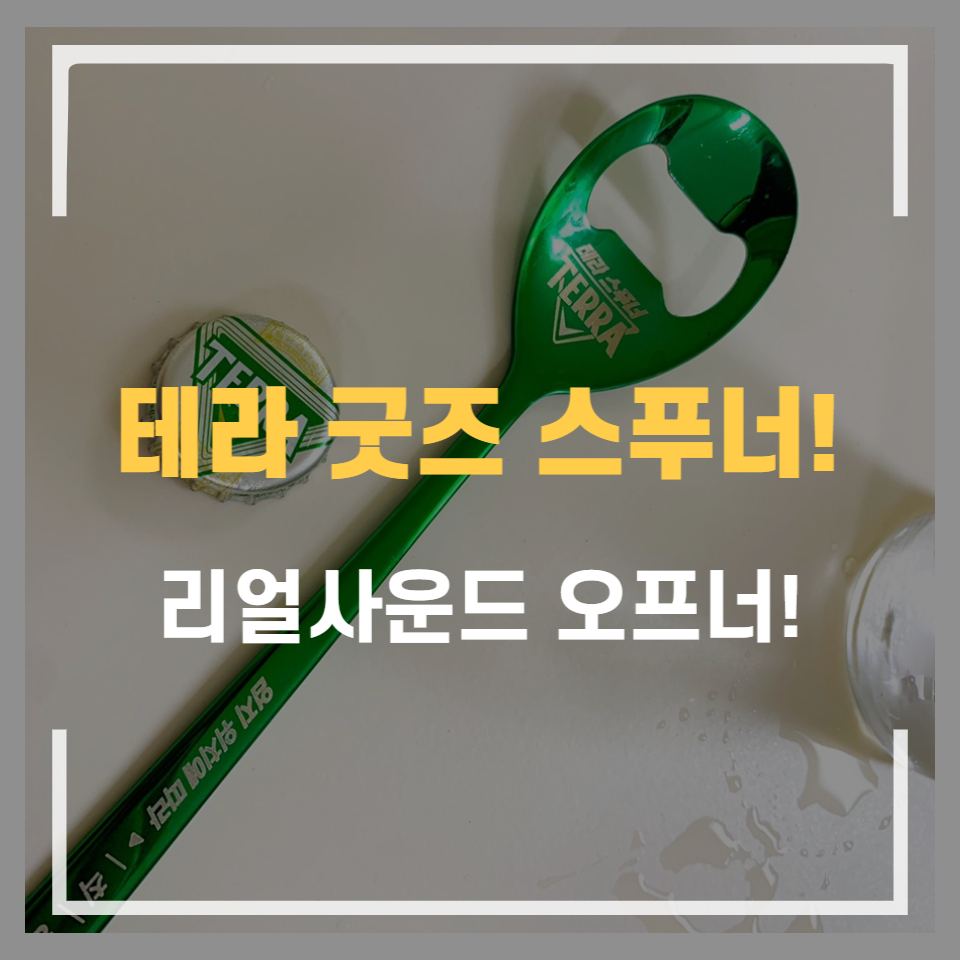 스푸너 이미지
