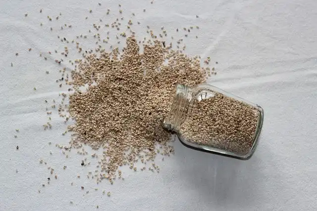 들기름 효능