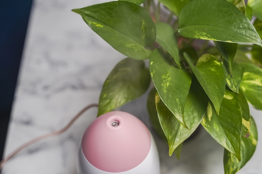 휴대성 좋은 400ml 카카오프렌즈 어피치 미니가습기, 21