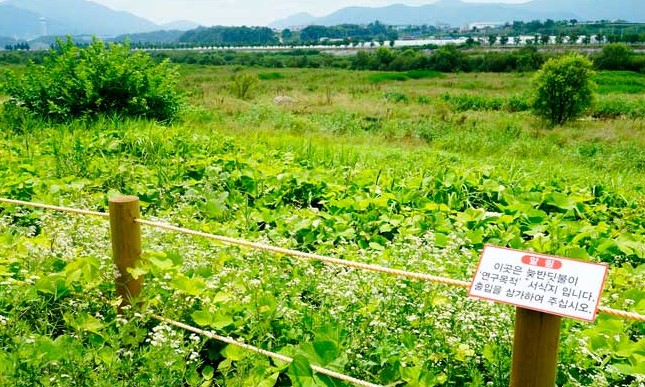 거창 가볼만한곳 베스트10 알아보자
