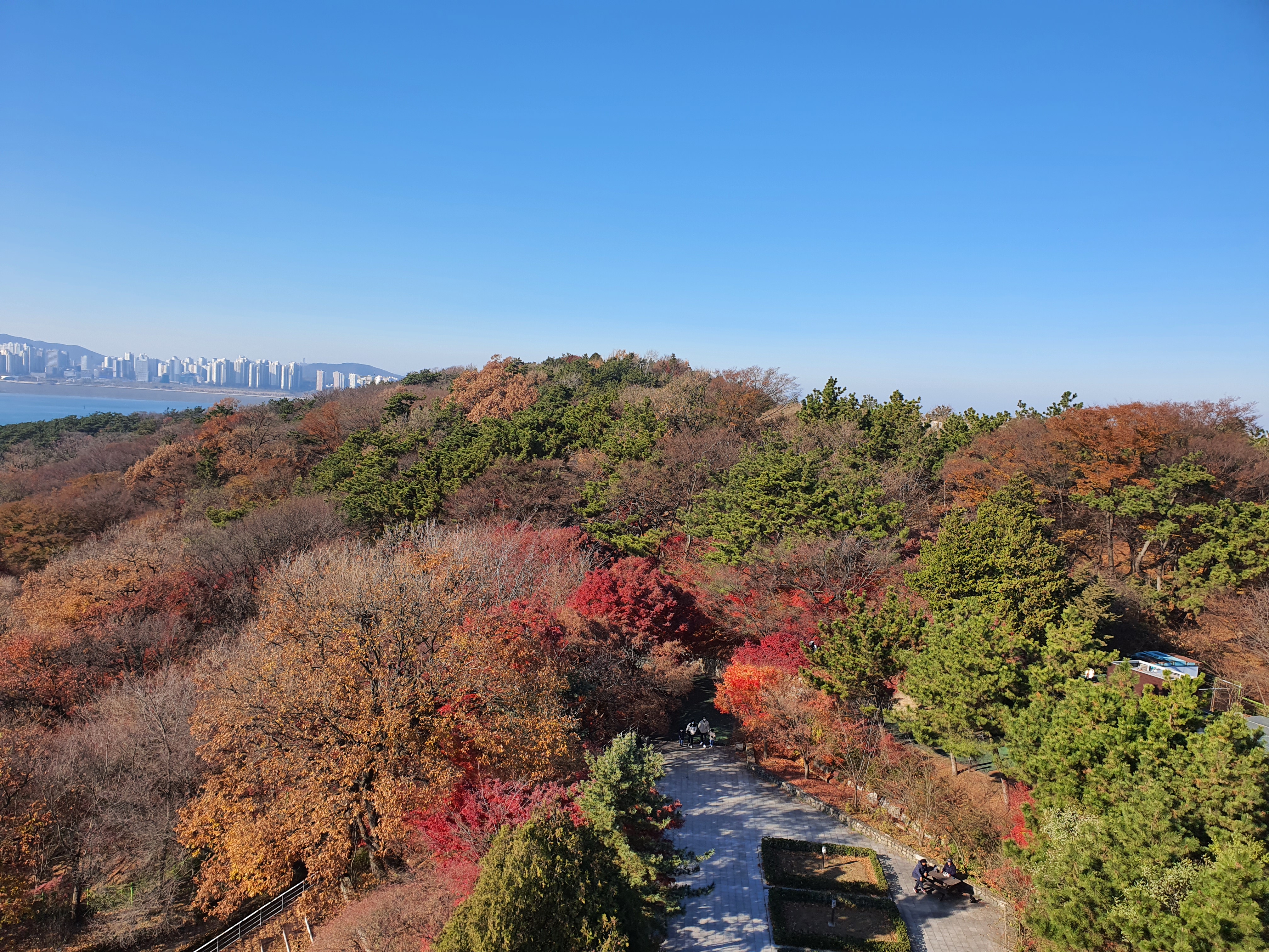 인천 산책하기 좋은 월미공원 물범카 이용 안내