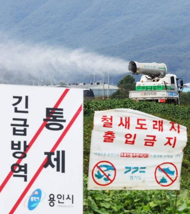 가금 이미지