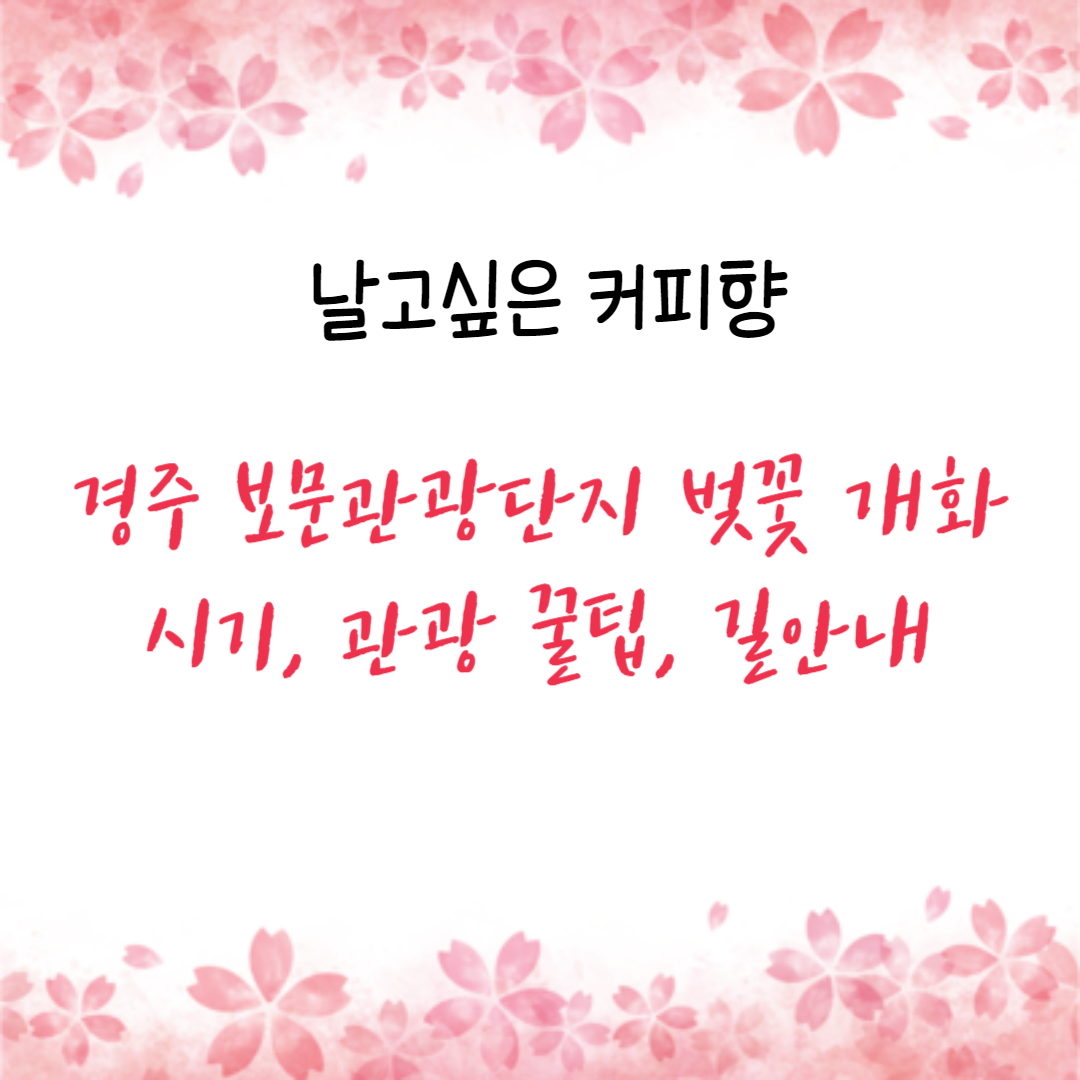 경주 보문관광단지 벚꽃 개화시기, 관광 꿀팁, 길안내