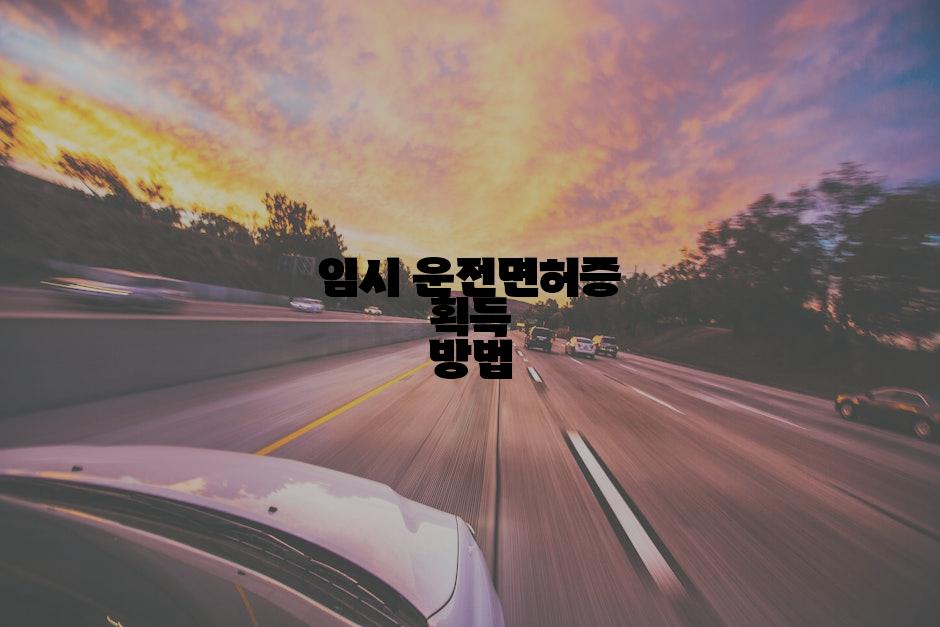 임시 운전면허증 획득 방법