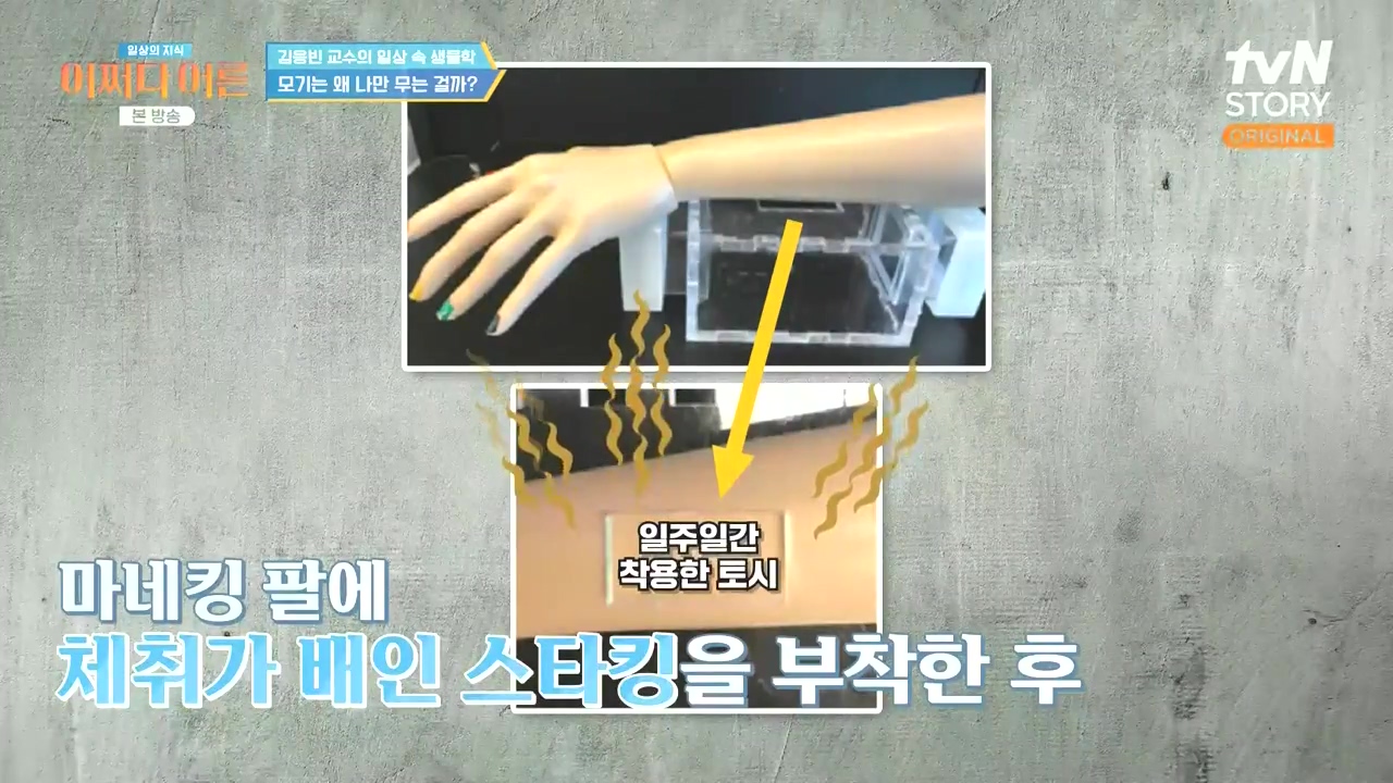 어쩌다 어른.E51.240410p-NEXT.mp4_20240410_173648.343.jpg