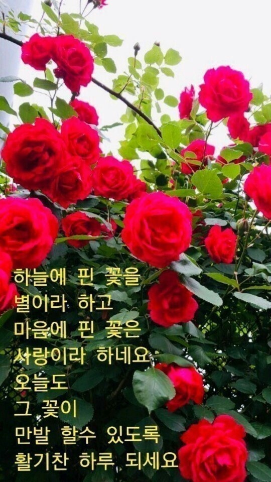 멋진하루 이미지
