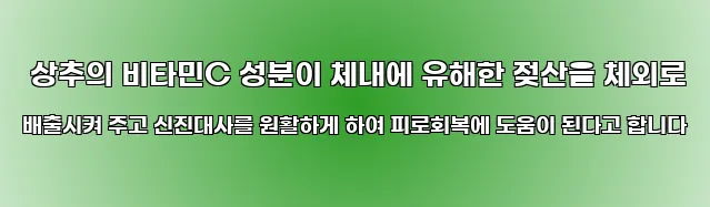  상추의 비타민C 성분이 체내에 유해한 젖산을 체외로 배출시켜 주고 신진대사를 원활하게 하여 피로회복에 도움이 된다고 합니다
