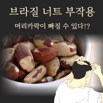  브라질 너트 부작용, 머리카락이 빠질 수 있다!?