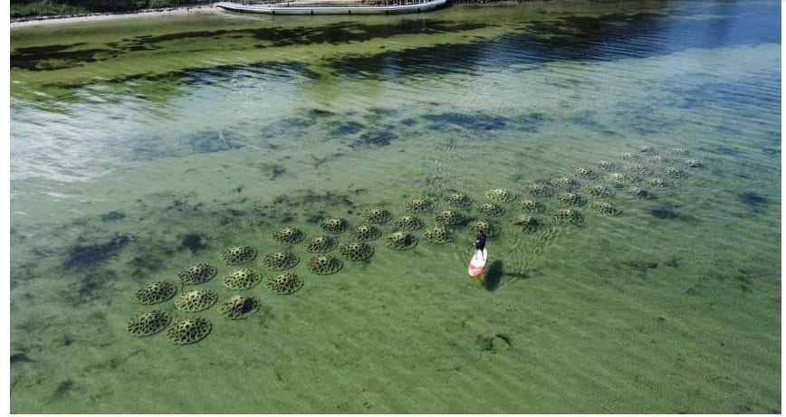 재활용된 굴 껍질로 만든 침식 완화 장치 VIDEO: Reef Design Lab crafts Erosion Mitigation Units from recycled oyster shells