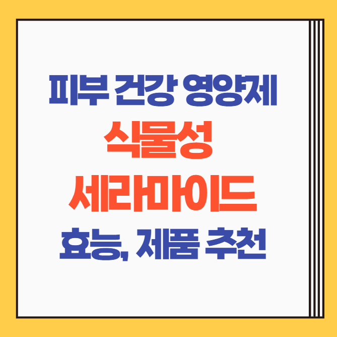  피부 영양제 먹는 식물성 세라마이드, 밀 세라마이드(세라티크) 추천