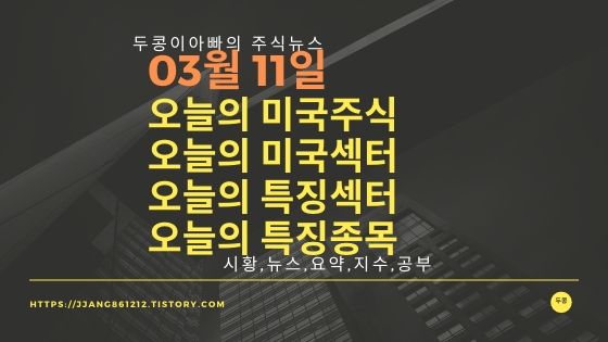  20년 03월 11일 미국증시,특징섹터,특징종목,미국섹터