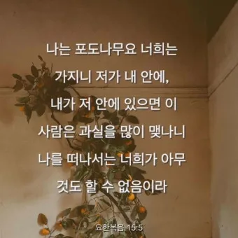 요한복음 16장 33절 읽기 - 세상에서는 너희가 환난을 당하나 담대하라 내가 세상을 이기었노라_22