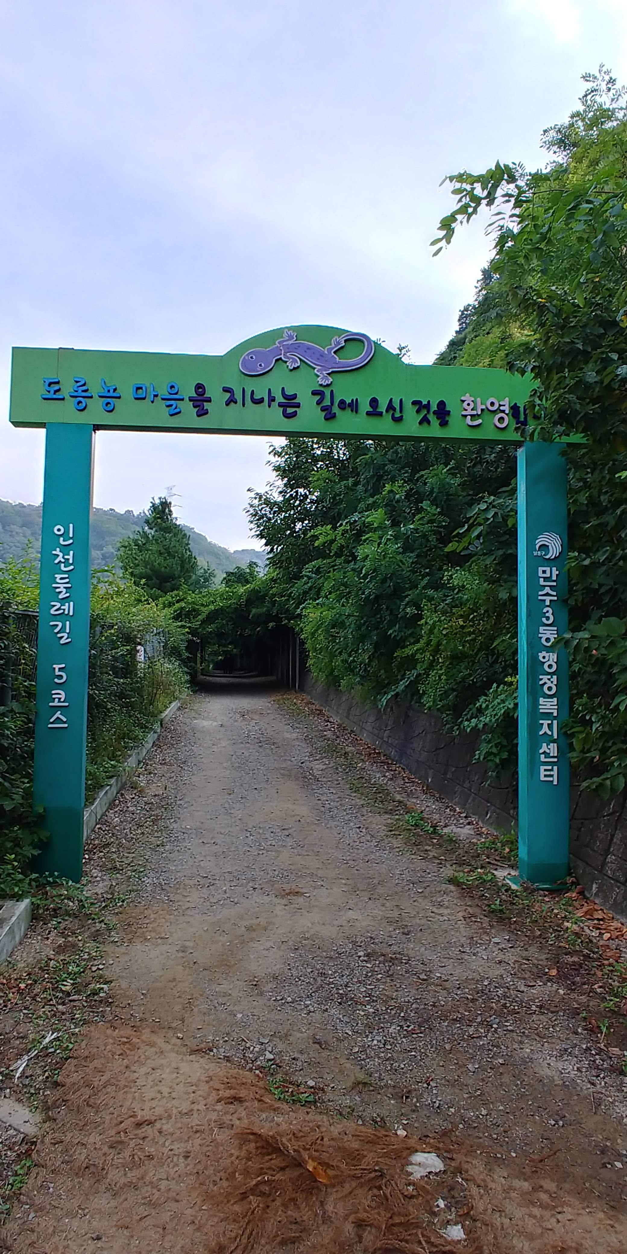  인천 만수동의 도롱뇽 마을
