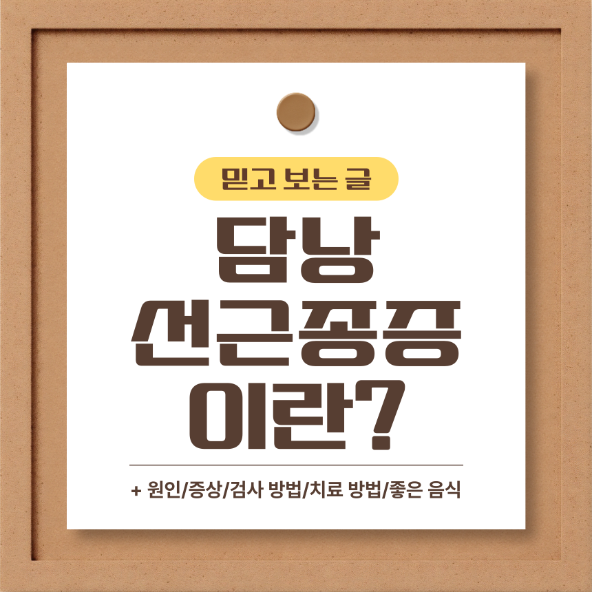  담낭 선근종증 이란?