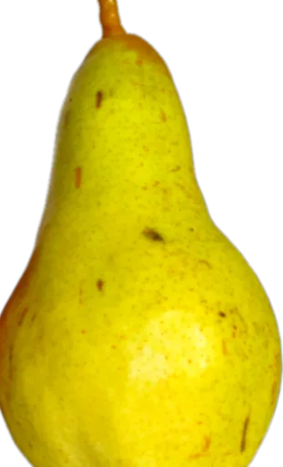 HDL 이미지