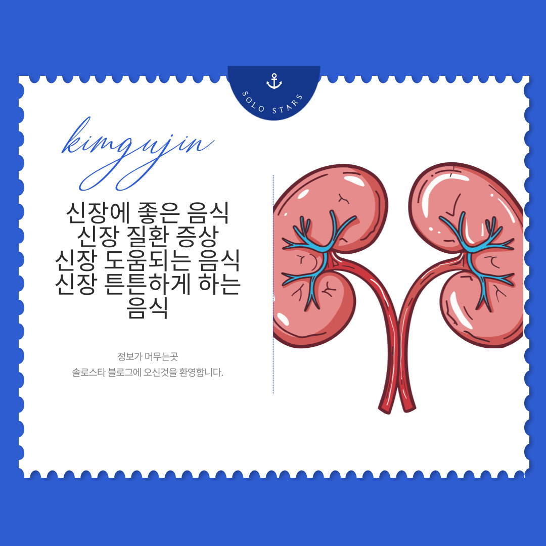신장 그림