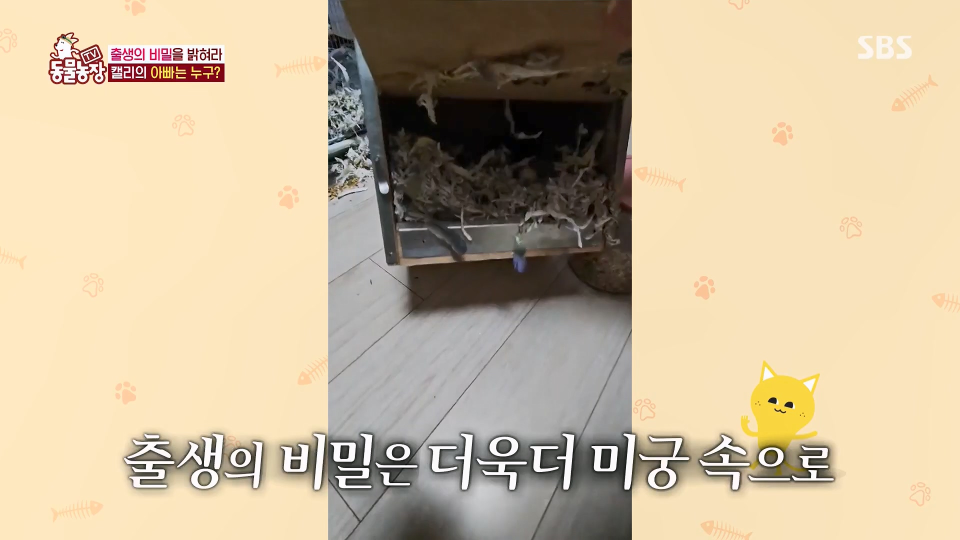 TV 동물농장.E1180.240714p.H264-F1RST.mp4_20240715_201735.356.jpg
