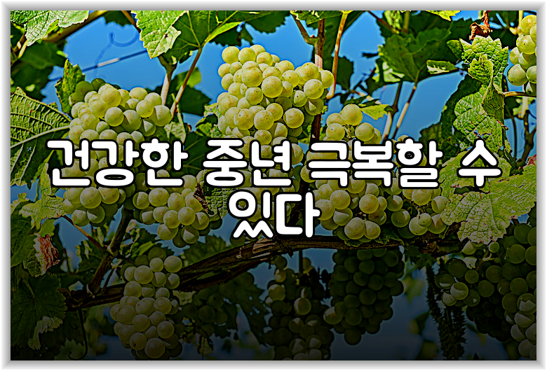 건강한 중년 극복할 수 있다
