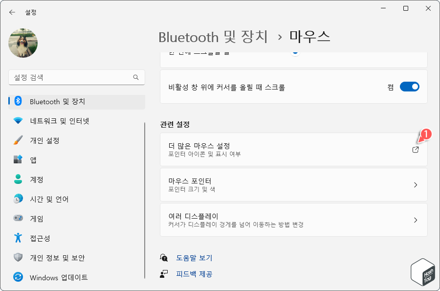 관련 설정 섹션 > 더 많은 마우스 설정