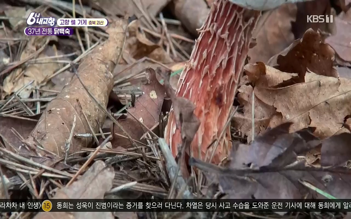 6시 내고향.E7602.220824p.H264-F1RST.mp4_20220825_171322.751.jpg