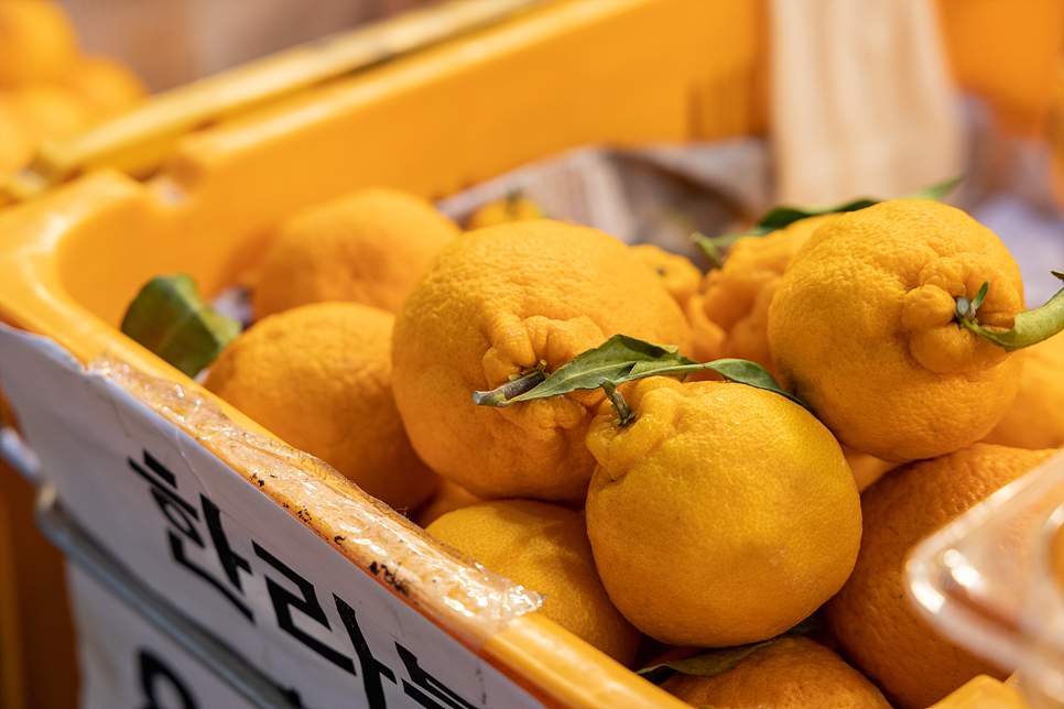 제주 서귀포 올레시장 제주도 서귀포 올레시장 먹거리 38