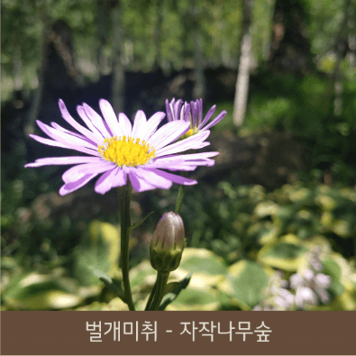 화담숲 예약 (ft. 할인 정보)