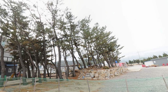 덕산-해변-캠핑장