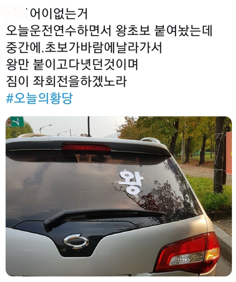  운전 중 갑자기 왕이됨ㅋㅋㅋㅋㅋ