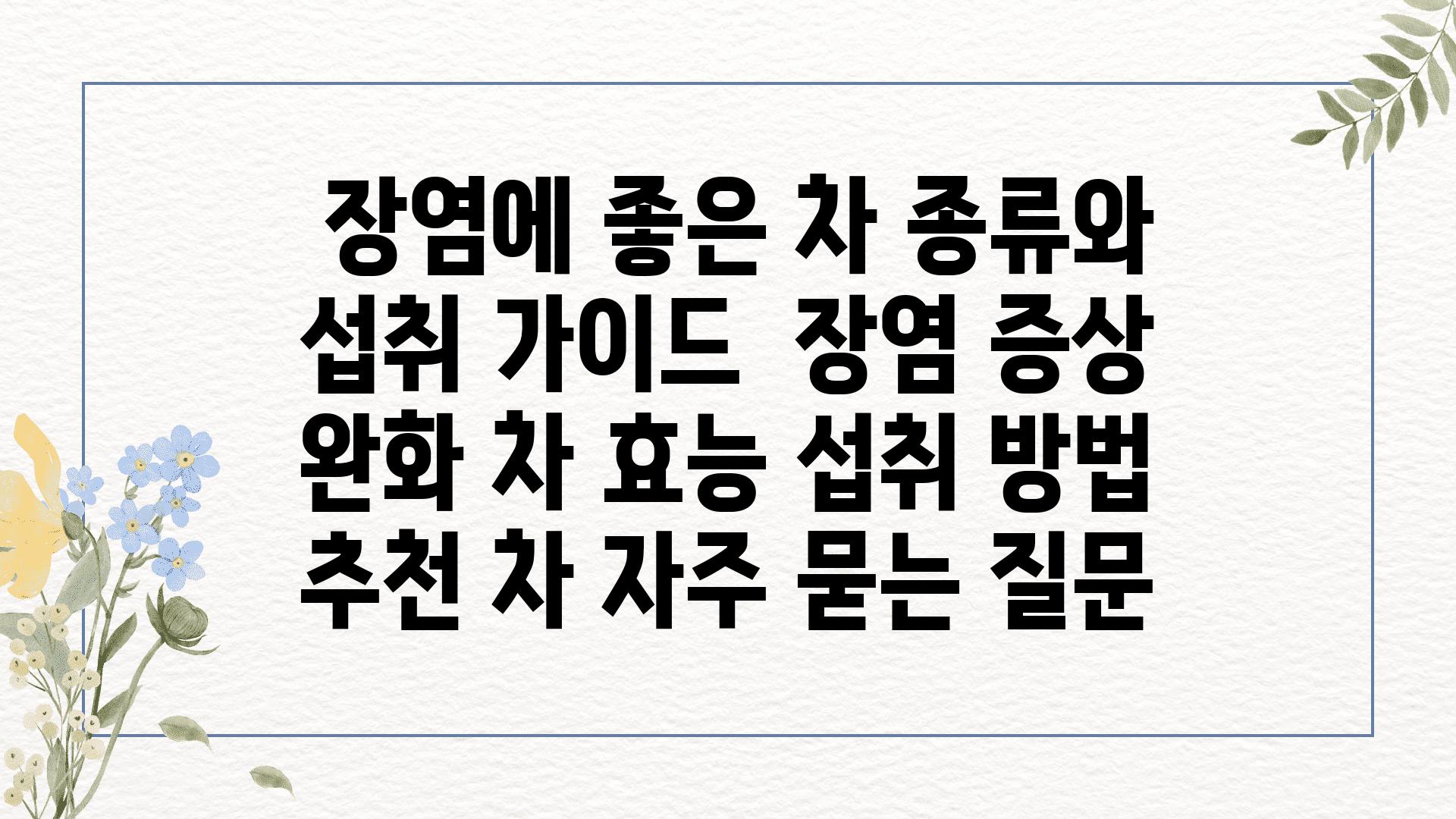  장염에 좋은 차 종류와 섭취 설명서  장염 증상 완화 차 효능 섭취 방법 추천 차 자주 묻는 질문