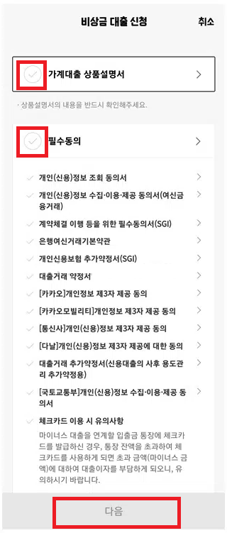 가계대출 상품설명서 및 필수동의 항목 체크 후 다음 버튼 선택