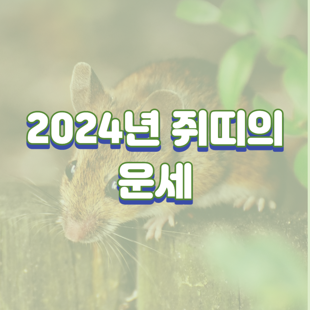 2024년 쥐띠의 운세