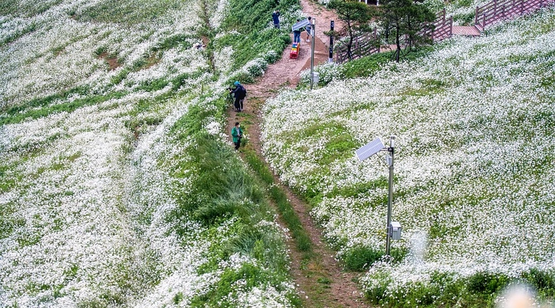 결론