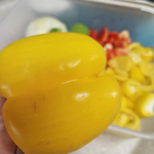 파프리카