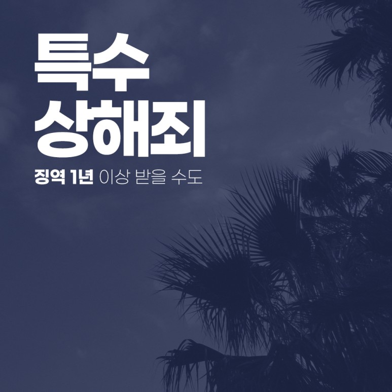 이상 받을 수도 특수상해죄 징역 1년 4