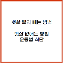 뱃살 빨리 빼는 방법 &#39;뱃살 없애는 방법 운동법 식단&#39;