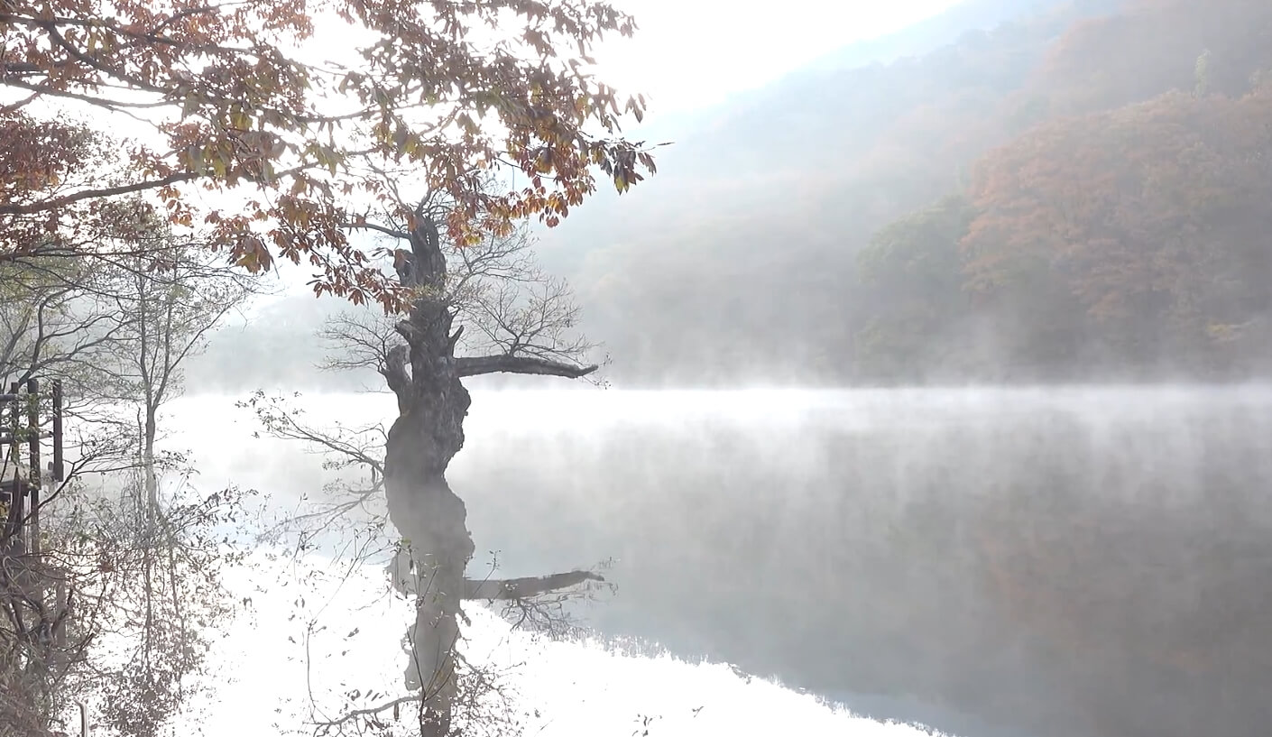 주산지